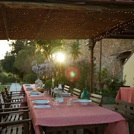 Pane E Vino *