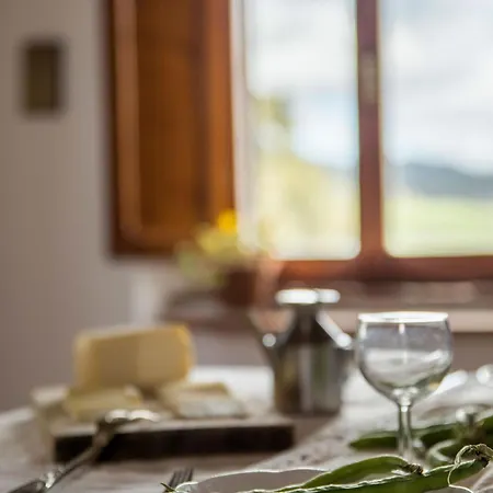Pane E Vino