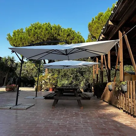 Pane E Vino