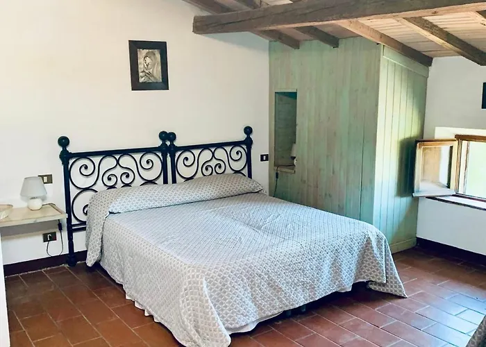 Pane E Vino Rosignano Marittimo
